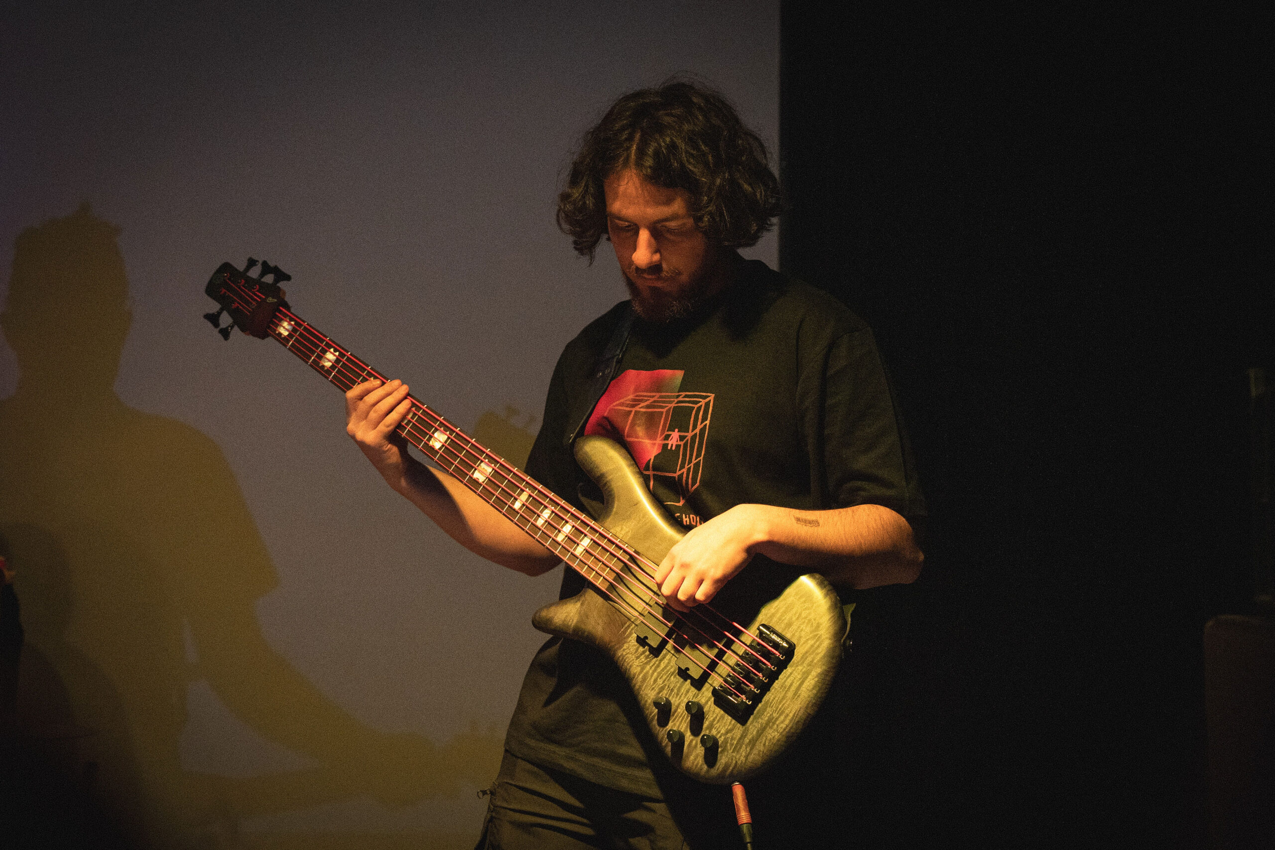 Souhra nehod (koncert alt-pop-rockové kapely)